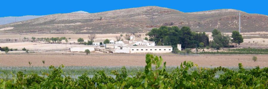 Finca el Pulpillo