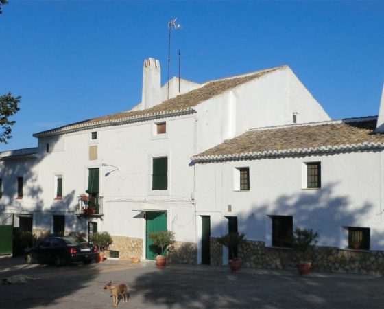 Finca el Pulpillo