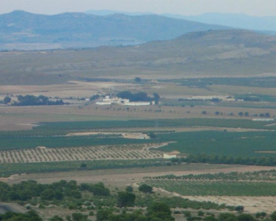 Finca el Pulpillo