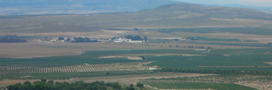 Finca el Pulpillo