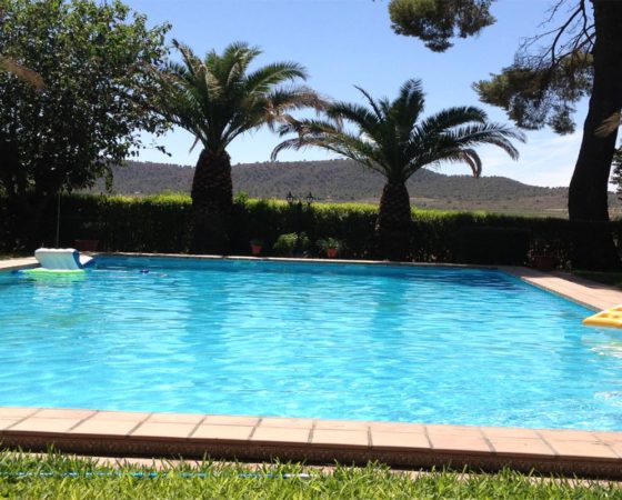 Finca el Pulpillo