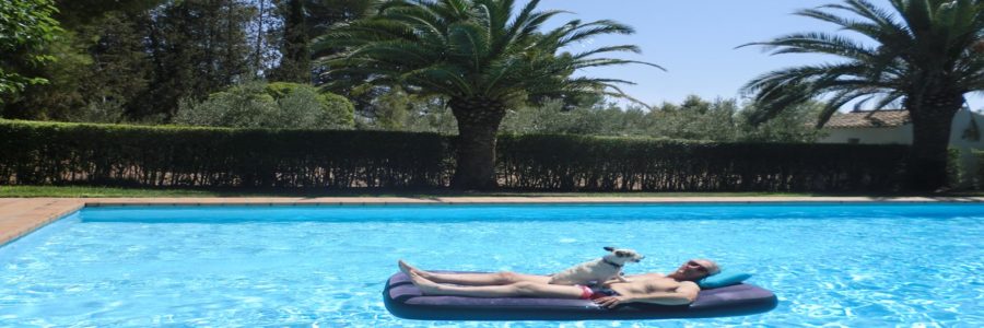 Finca el Pulpillo